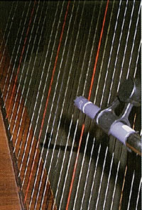 Photo: harp strings