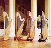 PHOTO OF SOME CAMAC HARP