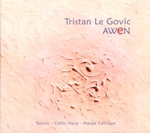 Cover: Awen by Tristan Le Govic