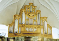 The organ