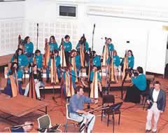 Photograph 2 of Irish Harp Orchestra