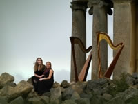 Photo of Double Action Harp Duo