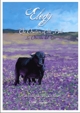 Elegy - Oration of the Bull by David Johnstone